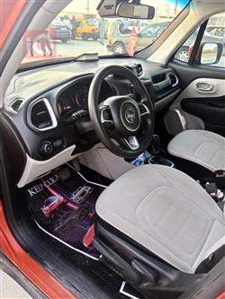 جيب رينيجيد